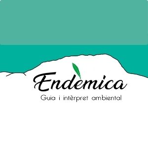 Endemica logo